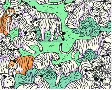 بازی فکری: اگه چشمات عقابی و تیزبینی، توی ۵ ثانیه گورخر رو پیدا کن!