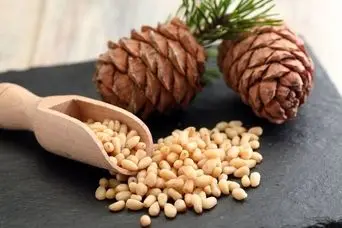 راز افزایش قوای جنسی و تنظیم فشار خون در طبیعت؛ این خشکبار را در برنامه روزانه‌تان بگذارید