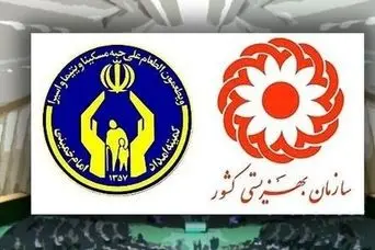 اطلاعیه مهم سازمان بهزیستی برای مددجویان / خانه‌دار شدن مددجویان با طرح های رایگان مسکن دولت