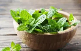 این سبزی سرفه را درمان، رشد مو را زیاد و تهوع را برطرف می کند
